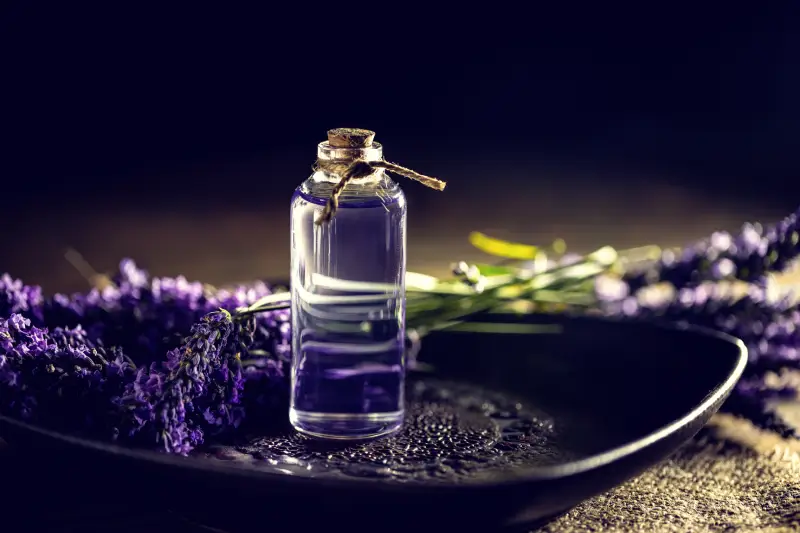 Lavender Essential Oil 