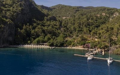 Reserve Your Escape in Advance